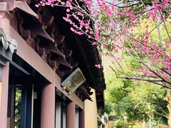 -慧因高丽寺