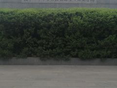 -侵华日军南京大屠杀遇难同胞纪念馆-停车场