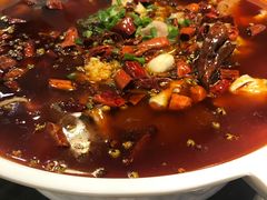 -庆合府重庆大排档(紫都城店)