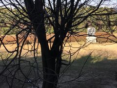 -秦始皇帝陵博物院-丽山园