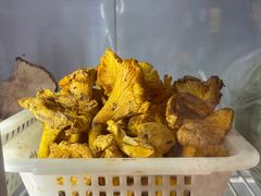 -菌之家·专业纯野生菌火锅·特色炒菌