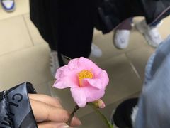 -INLOVE KTV(古墩印象城店)