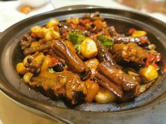 -向塘土鸡总店(八一广场店)