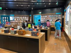 -sundanpulse顺电·脉(海岸城购物中心店)