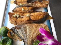 -墨脱石锅椰子鸡•香草鸭•东山羊(大东海店)