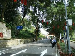 -广州市流溪河国家森林公园