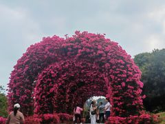-东莞植物园