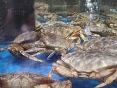 -盒马X会员店(王府井奥莱UP TOWN店)