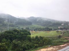 -龙泉青瓷博物馆