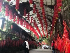 -观澜山水田园