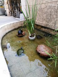 点击看大图 -宝生月子中心(独栋园林·福田店)