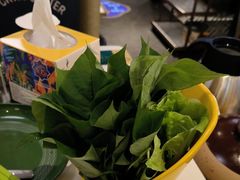 -润园四季椰子鸡火锅(南山海岸城店)