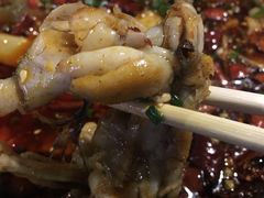 -靓蛙馆