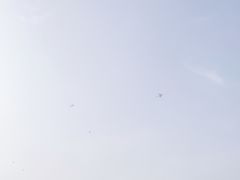 -在海一方公园