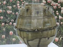 -荷兰花海