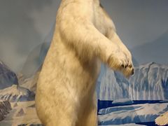 -陕西自然博物馆