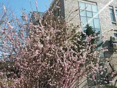 -辽宁大学(崇山校区)