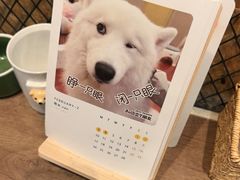 -和它·交个朋友·狗咖猫咖(爱琴海店)