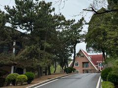 -棒棰岛宾馆景区