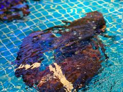 -驻海渔市(置信店)