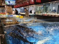 -绿杨春·淮扬宴(庐山路店)