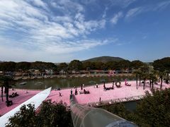 -苏州太湖西山岛开心农场