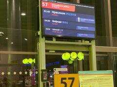 -谢列梅捷沃国际机场