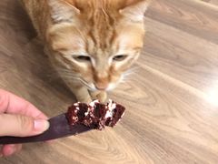 -派悦坊·甜品·蛋糕(日坛店)