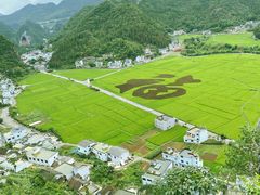 -万峰林风景区
