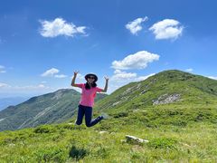-秦岭风景区