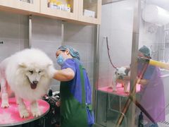 -宠福鑫康馨动物医院·骨科·眼科