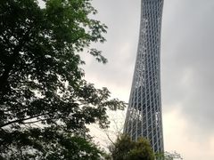 -聚龙湖公园