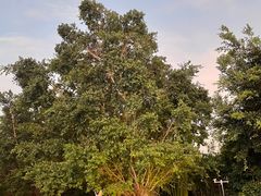 -三亚红色娘子军演艺公园景区