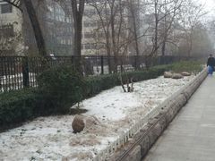 -东方之珠洗浴休闲广场(和平店)