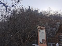 -北京鹫峰国家森林公园