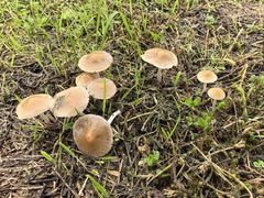 -汉长安城未央宫国家考古遗址公园