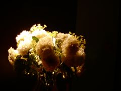 -小火花·干式熟成牛排馆Spark SteakHouse(剑桥郡店)