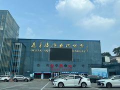 -蓬莱欧乐堡海洋极地世界