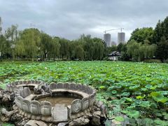 -堤角公园