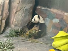 -青藏高原野生动物园