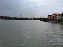 -上海长兴岛郊野公园