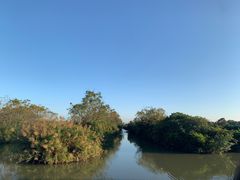 -大湾区中央湿地公园