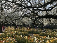 -名花谷生态庄园