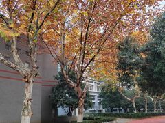 -金陵中学(河西分校)