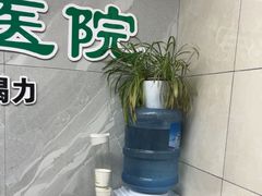 -半岛宠物医院24小时(白果林店)