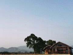 -良渚古城遗址公园