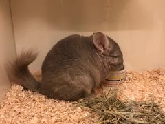 -龙猫仔乐园(惠福东路店)