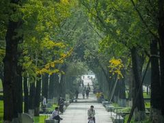 -重庆中央公园(渝北区)