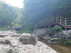 -洛阳白云山景区