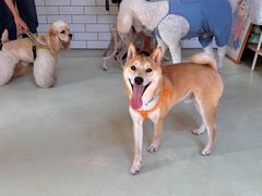 -小意思咖啡店(草桥店)